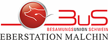 BUS Malchin Logo